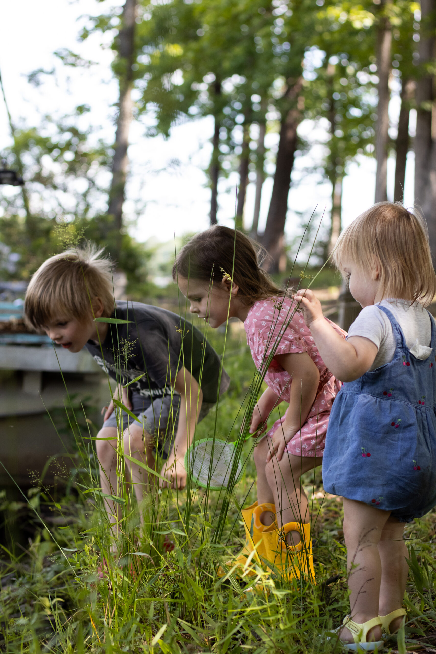 our favorite frog catching spot